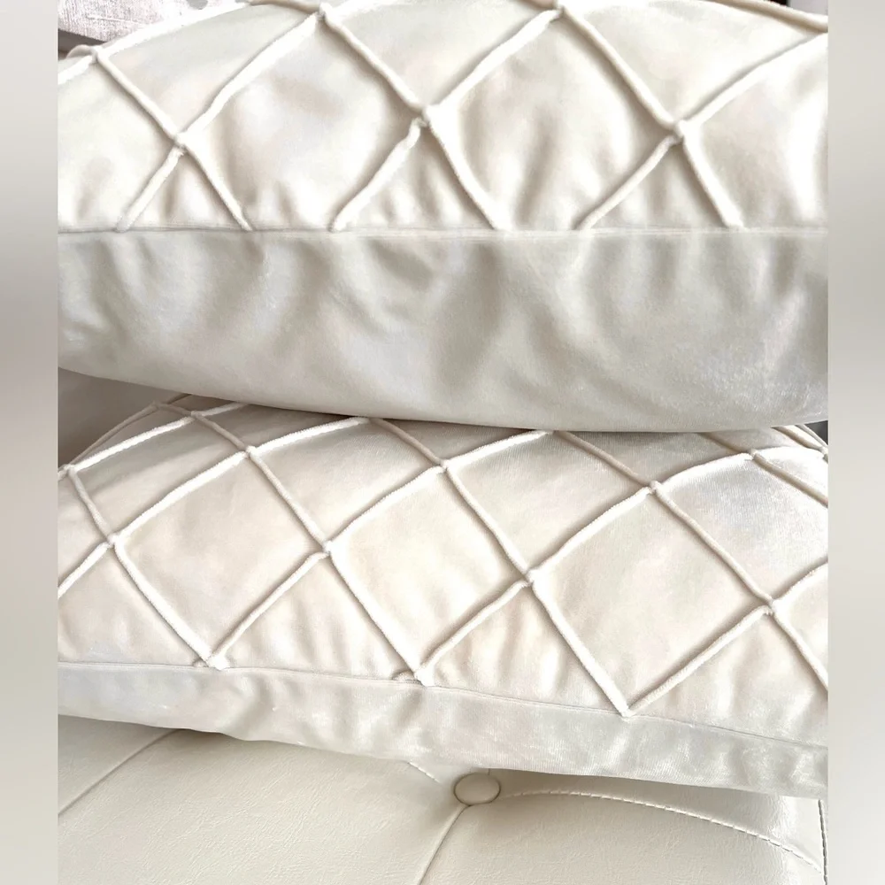 Set of 2 throw pillows 18x18